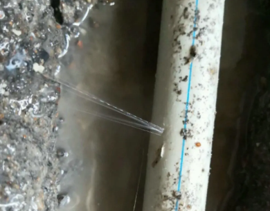 嵊州测漏水哪家好