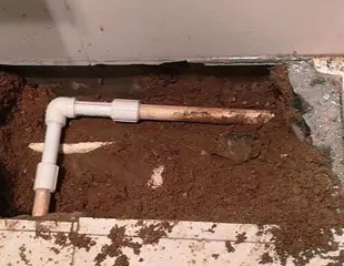 嵊州测漏水哪家好