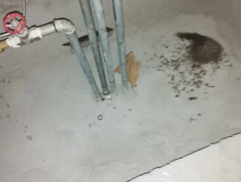 嵊州卫生间测漏水价格明细