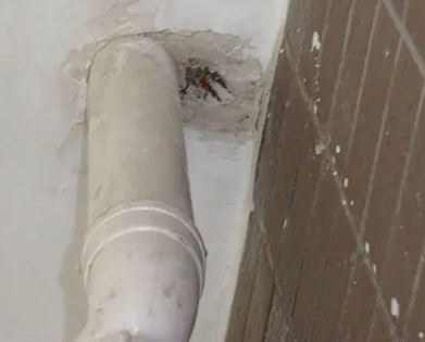 嵊州漏水检测哪家好